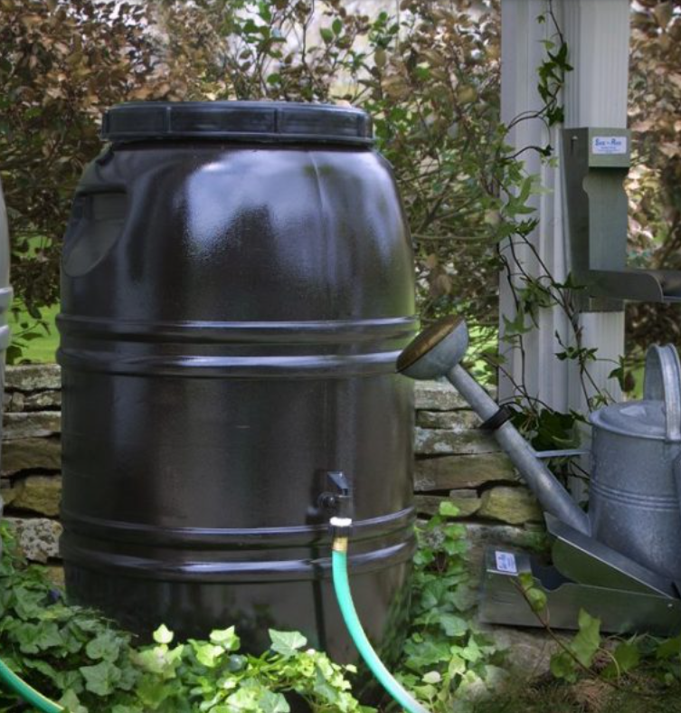 Rain Barrel1